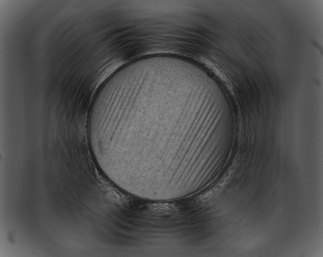 X0000096941137200802291026