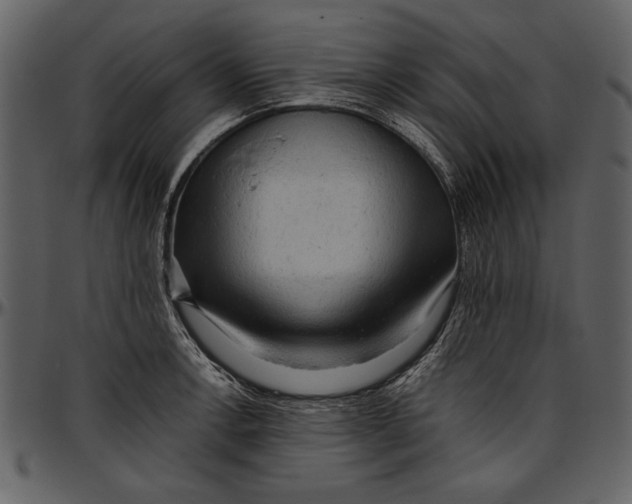 X0000096941138200802291026