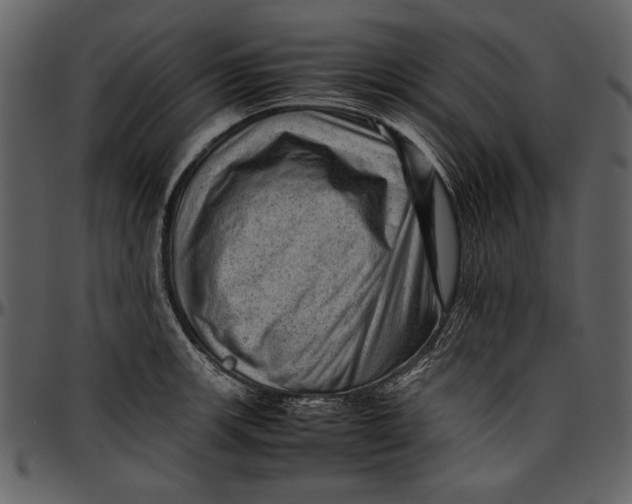 X0000096941139200802291026