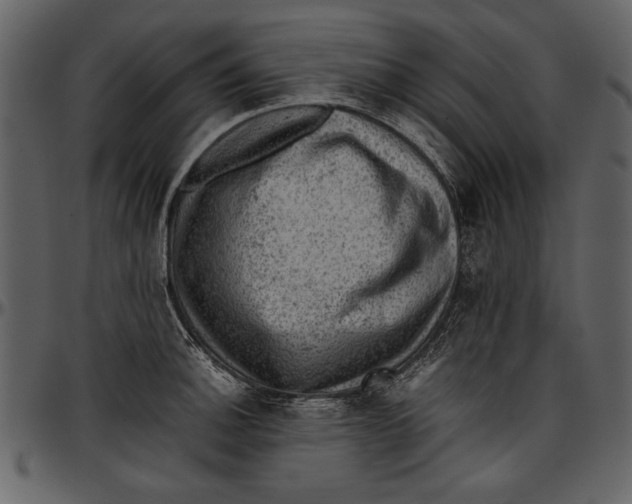 X0000096941140200802291026