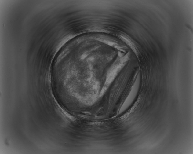 X0000096941141200802291026