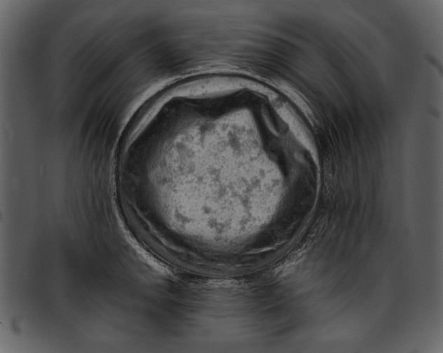 X0000096941142200802291026