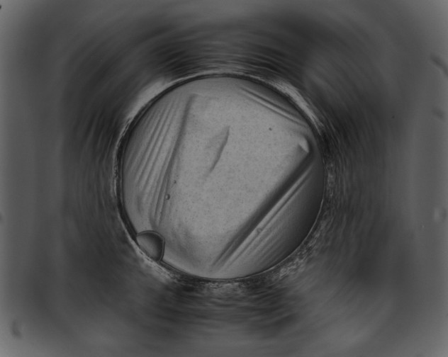 X0000096941143200802291026