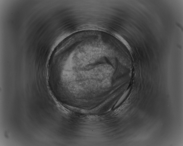 X0000096941144200802291026