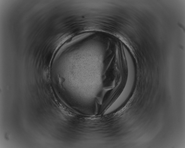 X0000096941145200802291026