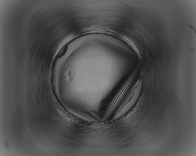 X0000096941146200802291026