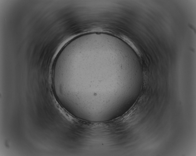 X0000096941148200802291026