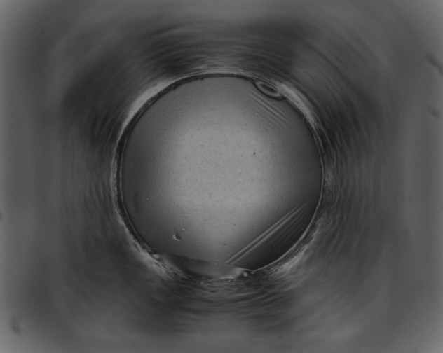 X0000096941149200802291026