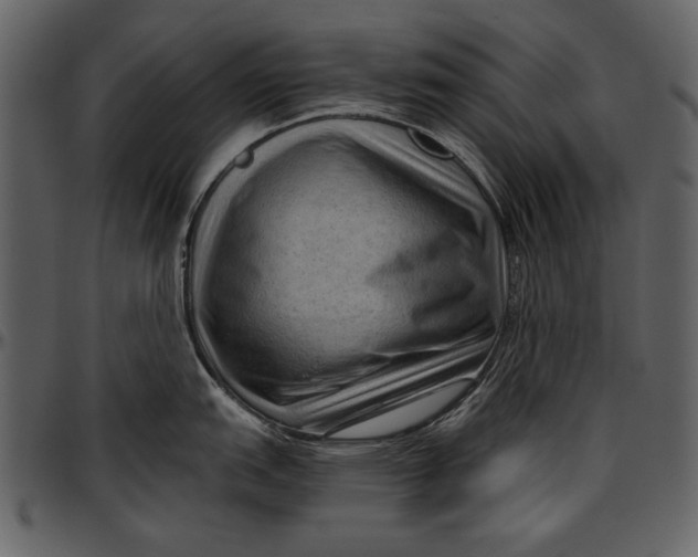 X0000096941151200802291026