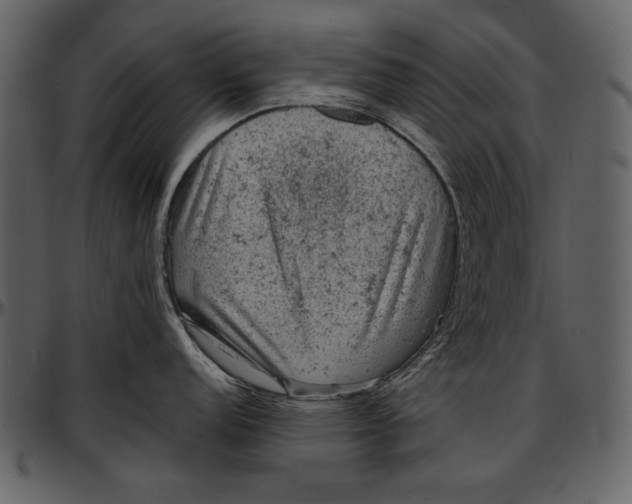 X0000096941152200802291026