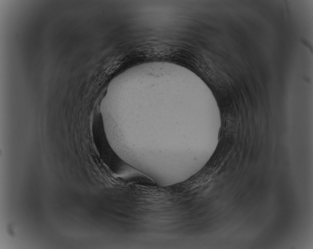 X0000096941153200802291026