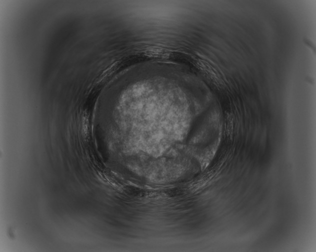 X0000096941154200802291026