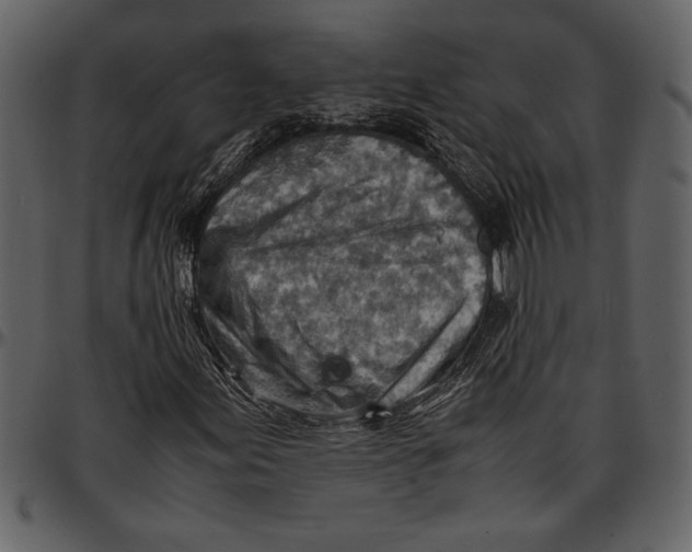 X0000096941155200802291026