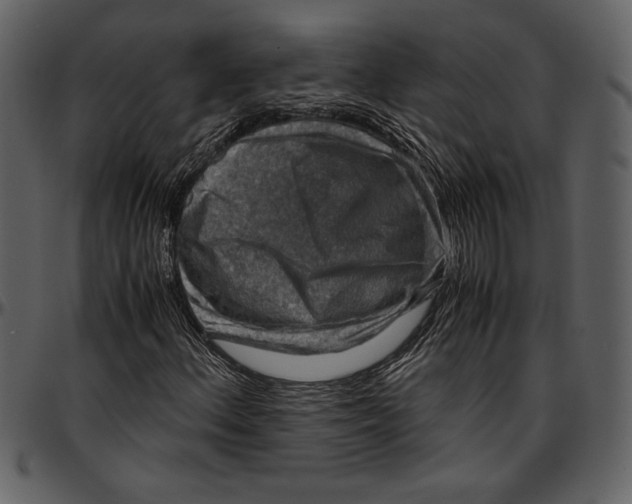 X0000096941156200802291026