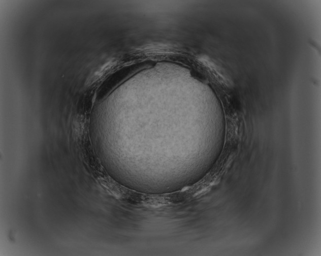 X0000096941157200802291026