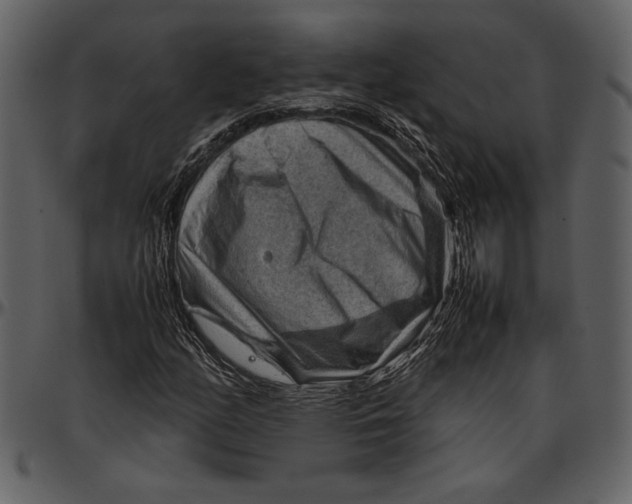 X0000096941158200802291026