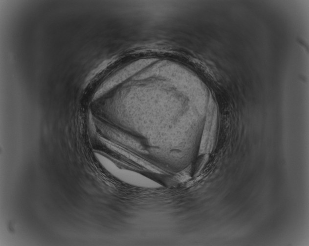 X0000096941159200802291026