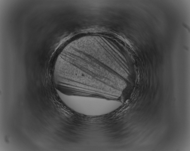 X0000096941160200802291026