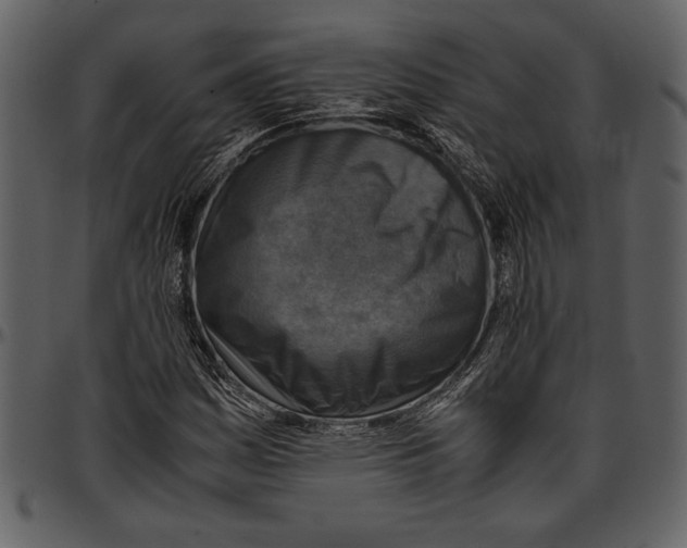 X0000096941161200802291026