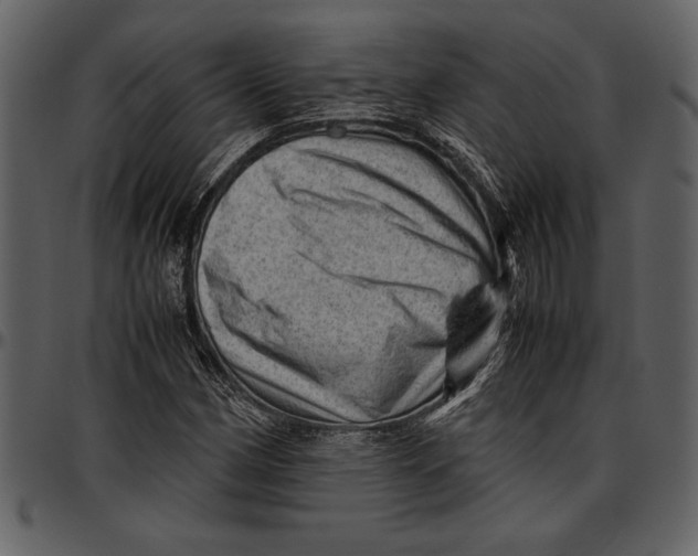 X0000096941162200802291026