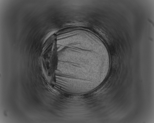 X0000096941163200802291026