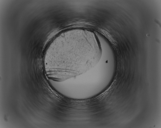 X0000096941164200802291026