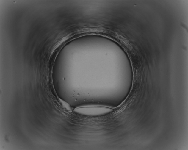 X0000096941165200802291026