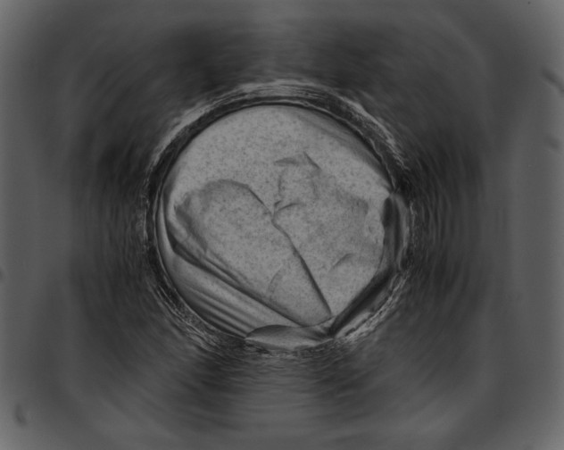 X0000096941166200802291026