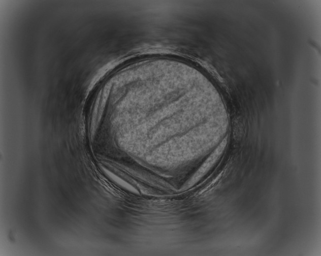 X0000096941167200802291026