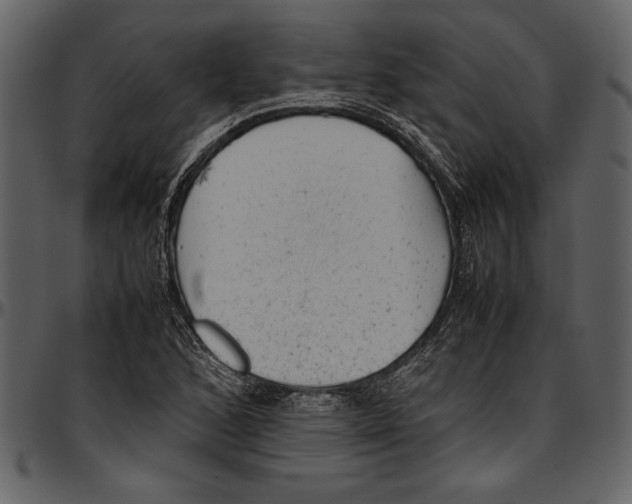 X0000096941168200802291026