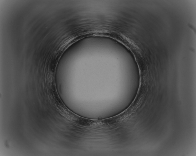 X0000096941169200802291025