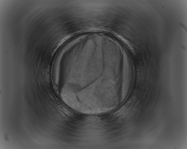 X0000096941170200802291025