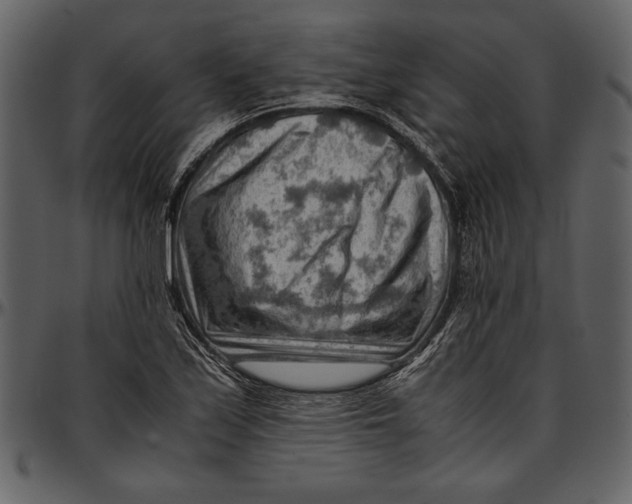 X0000096941171200802291025