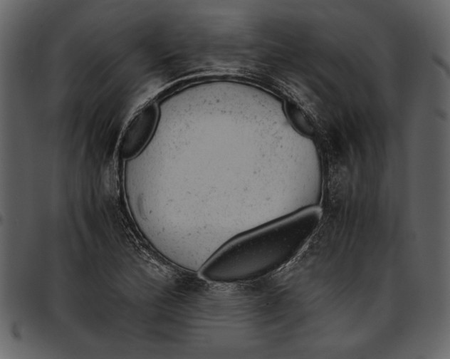 X0000096941172200802291025