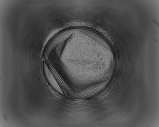 X0000096941175200802291025