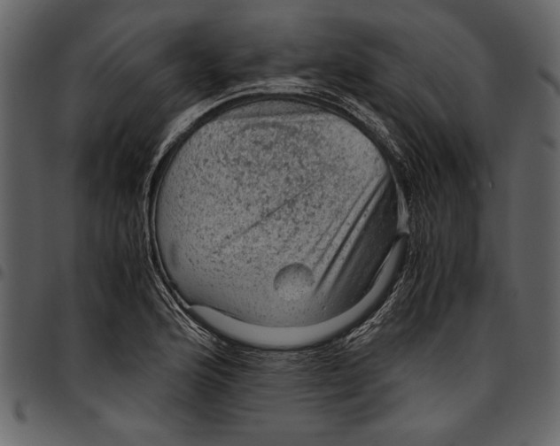 X0000096941176200802291025