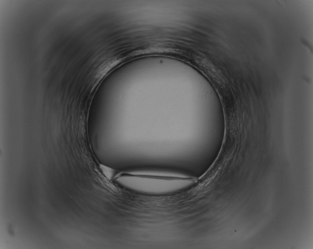 X0000096941177200802291025