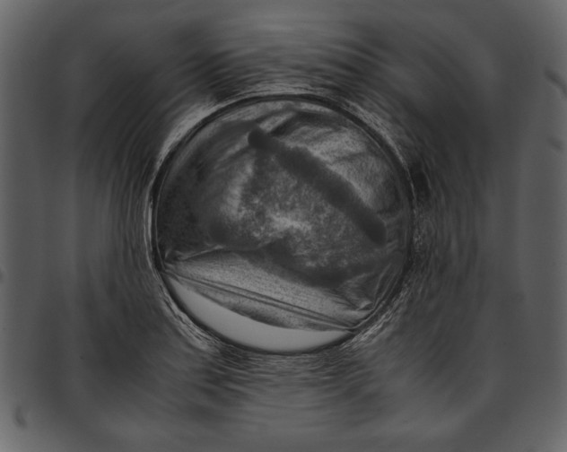 X0000096941179200802291025