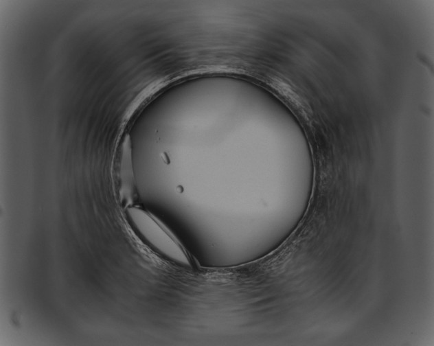 X0000096941181200802291025