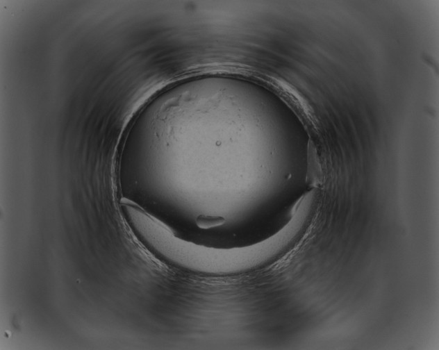 X0000096941182200802291025