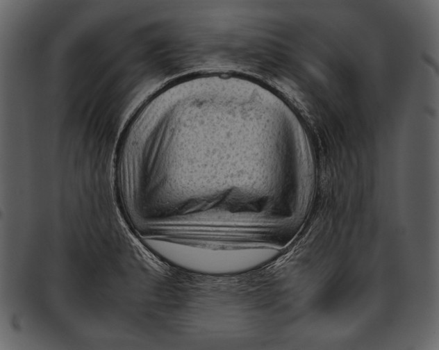 X0000096941183200802291025