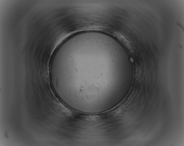 X0000096941184200802291025