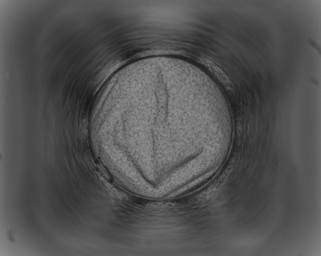 X0000096941185200802291025