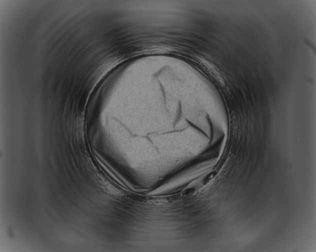 X0000096941186200802291025