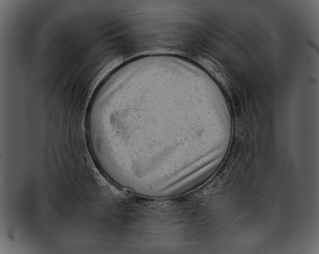 X0000096941189200802291025