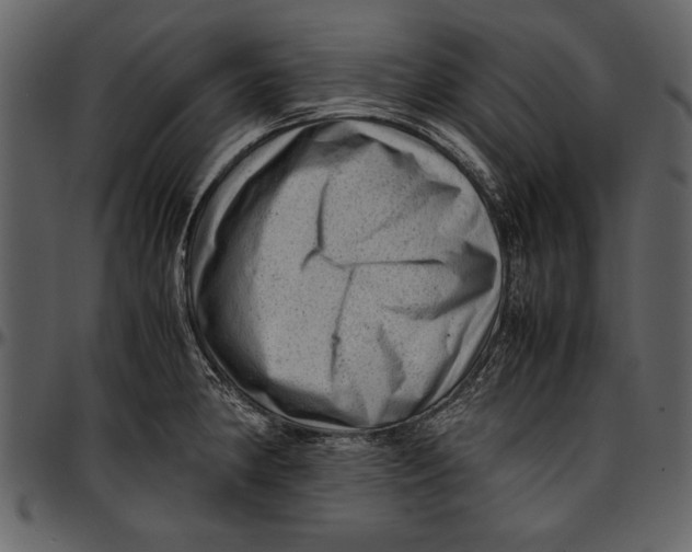 X0000096941190200802291025