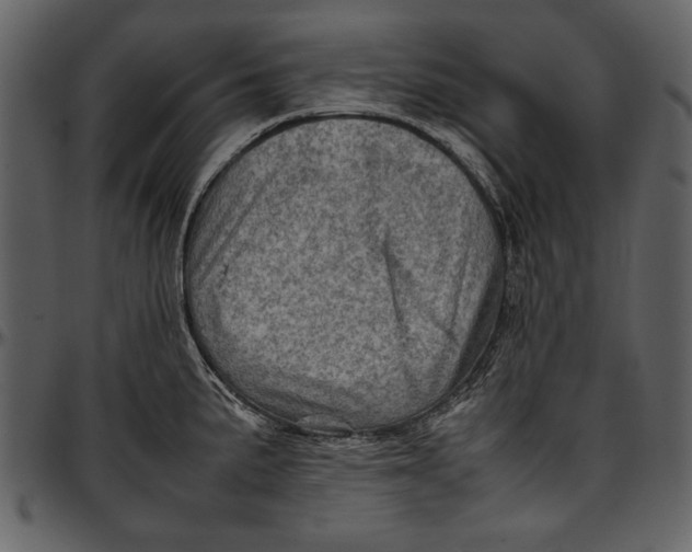 X0000096941191200802291025