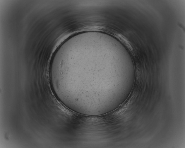 X0000096941192200802291025