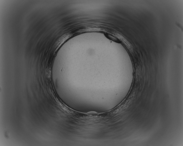 X0000096941193200802291025