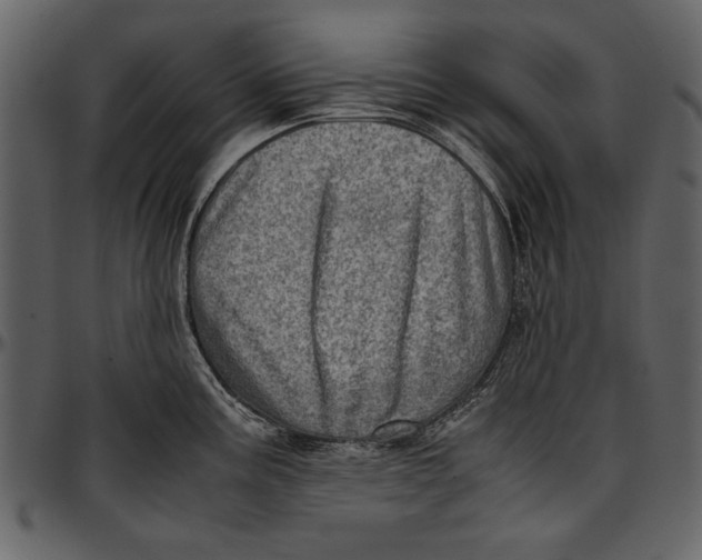 X0000096941195200802291025